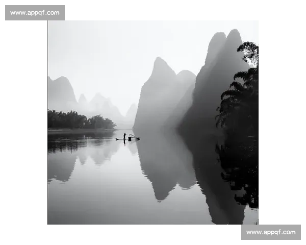 宋代诗词大会：探索宋代文学的艺术魅力与历史价值